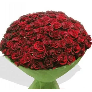 Сто и одна роза 